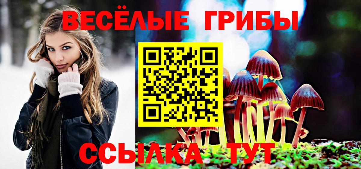 Псилоцибиновые грибы MAGIC MUSHROOMS Белая Калитва